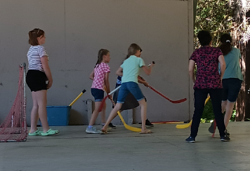 CampCalvinSports2024